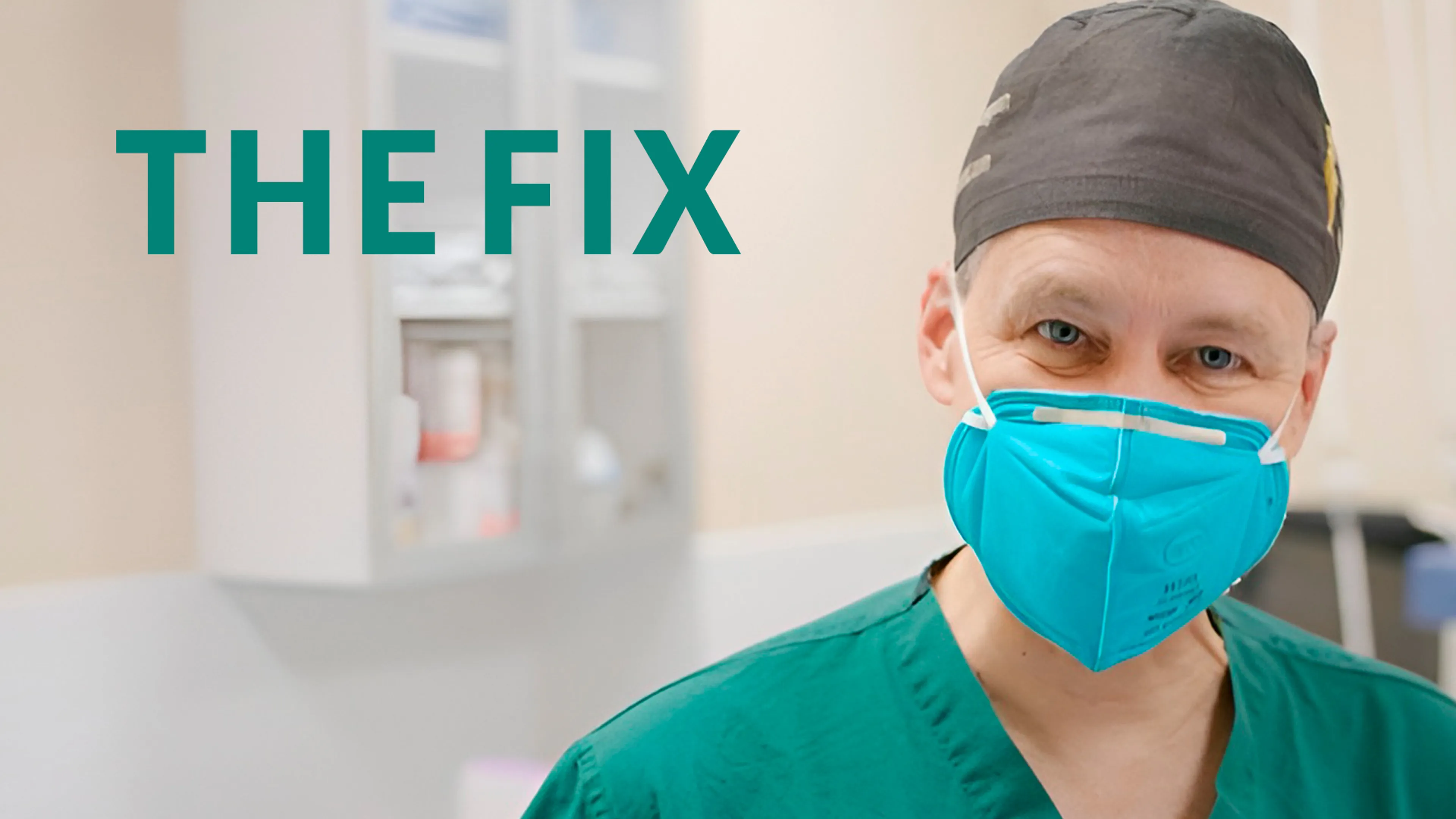The Fix poster
